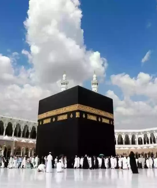 عمره المولد النبوى الشريف لعام 1446هـ - 2024م - 11 يوم طيران